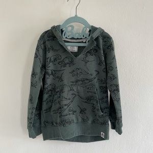 Fun dinosaur sweatshirt